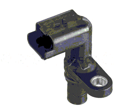 CMS01998-8.gif
