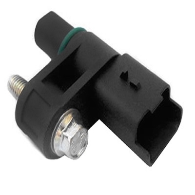CMS07197.jpg