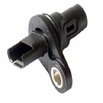 CS79382.jpg