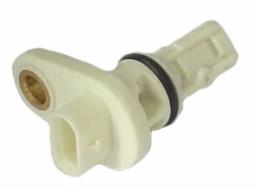 CS79395.jpg