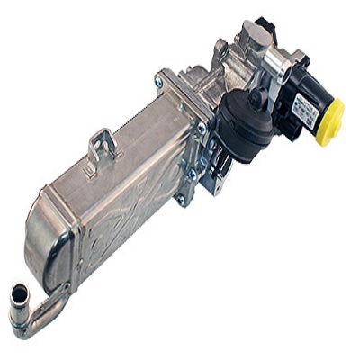 EGR331D-1.jpg